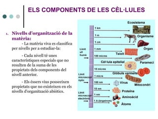 ELS COMPONENTS DE LES CÈL·LULES
1. Nivells d’organització de la
matèria:
- La matèria viva es classifica
per nivells per a estudiar-la:
- Cada nivell té unes
característiques especials que no
resulten de la suma de les
propietats dels components del
nivell anterior.
- Els éssers vius posseeixen
propietats que no existeixen en els
nivells d'organització abiòtics.
 