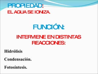PROPIEDAD : EL AGUA SE IONIZA. FUNCIÓN: INTERVIENE EN DISTINTAS REACCIONES: Hidrólisis Condensación. Fotosíntesis. 