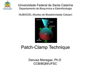 Danusa Menegaz, Ph.D
CCB/BQM/UFSC
Patch-Clamp Technique
Universidade Federal de Santa Catarina
Departamento de Bioquímica e Eletrofisiologia
NUBIOCEL (Núcleo de Bioeletricidade Celular)
 