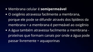 Membrana celular é semipermeável
O oxigênio atravessa facilmente a membrana,
porque ele pode se difundir através dos lipídeos da
membrana = a membrana é permeável ao oxigênio
A água também atravessa facilmente a membrana -
proteínas que formam canais por onde a água pode
passar livremente = aquaporinas
 