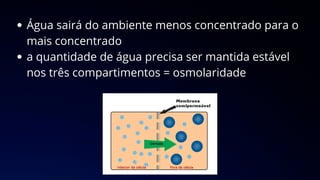 Água sairá do ambiente menos concentrado para o
mais concentrado
a quantidade de água precisa ser mantida estável
nos três compartimentos = osmolaridade
 