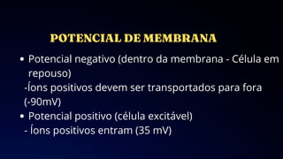 Potencial negativo (dentro da membrana - Célula em
repouso)
-Íons positivos devem ser transportados para fora
(-90mV)
Potencial positivo (célula excitável)
- Íons positivos entram (35 mV)
 