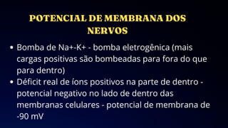 Bomba de Na+-K+ - bomba eletrogênica (mais
cargas positivas são bombeadas para fora do que
para dentro)
Déficit real de íons positivos na parte de dentro -
potencial negativo no lado de dentro das
membranas celulares - potencial de membrana de
-90 mV
 