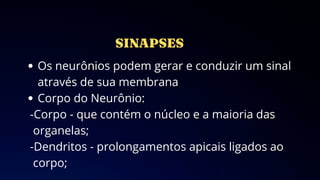 Os neurônios podem gerar e conduzir um sinal
através de sua membrana
Corpo do Neurônio:
-Corpo - que contém o núcleo e a maioria das
organelas;
-Dendritos - prolongamentos apicais ligados ao
corpo;
 
