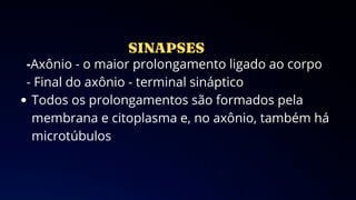 -Axônio - o maior prolongamento ligado ao corpo
- Final do axônio - terminal sináptico
Todos os prolongamentos são formados pela
membrana e citoplasma e, no axônio, também há
microtúbulos
 