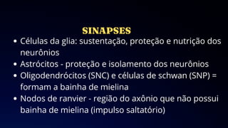 Células da glia: sustentação, proteção e nutrição dos
neurônios
Astrócitos - proteção e isolamento dos neurônios
Oligodendrócitos (SNC) e células de schwan (SNP) =
formam a bainha de mielina
Nodos de ranvier - região do axônio que não possui
bainha de mielina (impulso saltatório)
 