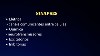 Elétrica
- canais comunicantes entre células
Química
- neurotransmissores
Excitatórios
Inibitórias
 