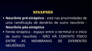 Neurônio pré-sináptico - está nas proximidades de
uma ramificação de dendrito de outro neurônio -
Neurônio pós-sináptico
Fenda sináptica - espaço entre o terminal e o início
de outro neurônio - NÃO HÁ CONTATO FÍSICO
ENTRE AS MEMBRANAS DE DIFERENTES
NEURÔNIOS
 