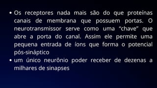 Os receptores nada mais são do que proteínas
canais de membrana que possuem portas. O
neurotransmissor serve como uma “chave” que
abre a porta do canal. Assim ele permite uma
pequena entrada de íons que forma o potencial
pós-sináptico
um único neurônio poder receber de dezenas a
milhares de sinapses
 