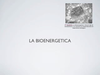 4° incontro. La Bioenergetica: I diversi tipi di
             metabolismo e le reazioni di ossidoriduzione di
                        importanza biologica




LA BIOENERGETICA
 