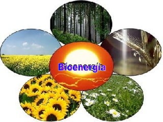Bioenergía Bioenergía 
