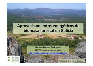 Aprovechamientos energéticos de
biomasa forestal en Galiciabiomasa forestal en Galicia
Damián Copena Rodríguez
GIEEA-Universidade de Vigo
http://webs.uvigo.es/economiaecoloxica/
Valladolid, 7 de mayo de 2016
 