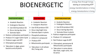 BIOENERGETIC
energy flow through livings
storing or consuming ATP
energy transformations in living
energy transductions in living
PHOTOSYNTHESIS RESPIRATION PHOTORESPIRATION
 Anabolic Reaction  Anabolic Reaction Catabolic Reaction
 Endergonic Reaction  Endergonic Reaction Exergonic Reaction
 Use CO2 & produce O2  Use O2 & produce CO2  Use O2 & produce CO2
 Occur during day time  Occur during day time Occur day/night time
 Stomata Open  Stomata Open in plants  Stomata Close in plants
 Rubisco carboxylase participate  Rubisco oxygenase participate Phosphofructokinase
 Produce 3-C sugar Calvin Cycle  Produce 2-C compound Utilize 6-C compound
 Produce sugar and ATP  Produce ATP  Not Produce sugar & ATP
 Chloroplast participate  Mitochondria participate  Chloroplast, peroxisome &
Mitochondria participate Take place in algae, green
bacteria and all plants
 Take place in all cellular
life / living cells  Take place in some plants
like maze, sugar cane, rice
& cactus
 