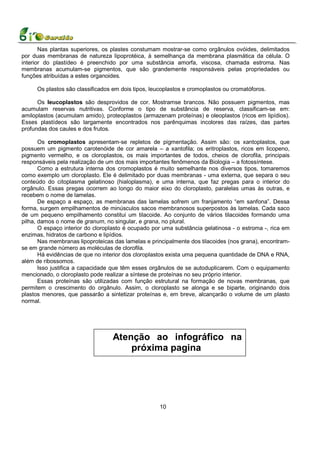 Nas plantas superiores, os plastes constumam mostrar-se como orgânulos ovóides, delimitados
por duas membranas de natureza lipoprotéica, à semelhança da membrana plasmática da célula. O
interior do plastídeo é preenchido por uma substância amorfa, viscosa, chamada estroma. Nas
membranas acumulam-se pigmentos, que são grandemente responsáveis pelas propriedades ou
funções atribuídas a estes organoides.

     Os plastos são classificados em dois tipos, leucoplastos e cromoplastos ou cromatóforos.

      Os leucoplastos são desprovidos de cor. Mostramse brancos. Não possuem pigmentos, mas
acumulam reservas nutritivas. Conforme o tipo de substância de reserva, classificam-se em:
amiloplastos (acumulam amido), proteoplastos (armazenam proteínas) e oleoplastos (ricos em lipídios).
Esses plastídeos são largamente encontrados nos parênquimas incolores das raízes, das partes
profundas dos caules e dos frutos.

       Os cromoplastos apresentam-se repletos de pigmentação. Assim são: os xantoplastos, que
possuem um pigmento carotenóide de cor amarela – a xantofila; os eritroplastos, ricos em licopeno,
pigmento vermelho, e os cloroplastos, os mais importantes de todos, cheios de clorofila, principais
responsáveis pela realização de um dos mais importantes fenômenos da Biologia – a fotossíntese.
       Como a estrutura interna dos cromoplastos é muito semelhante nos diversos tipos, tomaremos
como exemplo um cloroplasto. Ele é delimitado por duas membranas - uma externa, que separa o seu
conteúdo do citoplasma gelatinoso (hialoplasma), e uma interna, que faz pregas para o interior do
orgânulo. Essas pregas ocorrem ao longo do maior eixo do cloroplasto, paralelas umas às outras, e
recebem o nome de lamelas.
       De espaço a espaço, as membranas das lamelas sofrem um franjamento “em sanfona”. Dessa
forma, surgem empilhamentos de minúsculos sacos membranosos superpostos às lamelas. Cada saco
de um pequeno empilhamento constitui um tilacoide. Ao conjunto de vários tilacoides formando uma
pilha, damos o nome de granum, no singular, e grana, no plural.
       O espaço interior do cloroplasto é ocupado por uma substância gelatinosa - o estroma -, rica em
enzimas, hidratos de carbono e lipídios.
       Nas membranas lipoproteicas das lamelas e principalmente dos tilacoides (nos grana), encontram-
se em grande número as moléculas de clorofila.
       Há evidências de que no interior dos cloroplastos exista uma pequena quantidade de DNA e RNA,
além de ribossomos.
       Isso justifica a capacidade que têm esses orgânulos de se autoduplicarem. Com o equipamento
mencionado, o cloroplasto pode realizar a síntese de proteínas no seu próprio interior.
       Essas proteínas são utilizadas com função estrutural na formação de novas membranas, que
permitem o crescimento do orgânulo. Assim, o cloroplasto se alonga e se biparte, originando dois
plastos menores, que passarão a sintetizar proteínas e, em breve, alcançarão o volume de um plasto
normal.




                                  Atenção ao infográfico na
                                      próxima pagina




                                                    10
 