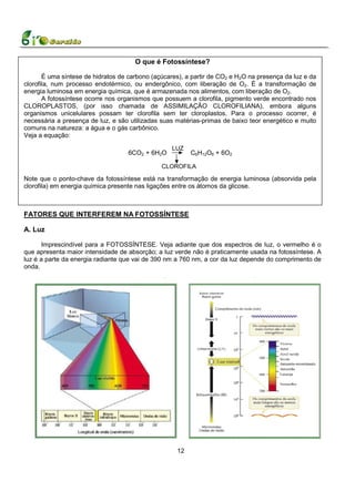 O que é Fotossíntese?

       É uma síntese de hidratos de carbono (açúcares), a partir de CO2 e H2O na presença da luz e da
clorofila, num processo endotérmico, ou endergônico, com liberação de O2. É a transformação de
energia luminosa em energia química, que é armazenada nos alimentos, com liberação de O2.
       A fotossíntese ocorre nos organismos que possuem a clorofila, pigmento verde encontrado nos
CLOROPLASTOS, (por isso chamada de ASSIMILAÇÃO CLOROFILIANA), embora alguns
organismos unicelulares possam ter clorofila sem ter cloroplastos. Para o processo ocorrer, é
necessária a presença de luz, e são utilizadas suas matérias-primas de baixo teor energético e muito
comuns na natureza: a água e o gás carbônico.
Veja a equação:

                                                   LUZ
                                    6CO2 + 6H2O          C6H12O6 + 6O2

                                               CLOROFILA

Note que o ponto-chave da fotossíntese está na transformação de energia luminosa (absorvida pela
clorofila) em energia química presente nas ligações entre os átomos da glicose.



FATORES QUE INTERFEREM NA FOTOSSÍNTESE

A. Luz

       Imprescindível para a FOTOSSÍNTESE. Veja adiante que dos espectros de luz, o vermelho é o
que apresenta maior intensidade de absorção; a luz verde não é praticamente usada na fotossíntese. A
luz é a parte da energia radiante que vai de 390 nm a 760 nm, a cor da luz depende do comprimento de
onda.




                                                    12
 