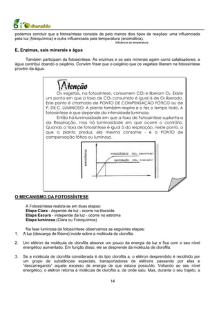podemos concluir que a fotossíntese consiste de pelo menos dois tipos de reações: uma influenciada
pela luz (fotoquímica) e outra influenciada pela temperatura (enzimática).
                                                           Influência da temperatura

E. Enzimas, sais minerais e água

     Também participam da fotossíntese. As enzimas e os sais minerais agem como catalisadores; a
água contribui doando o oxigênio. Convém frisar que o oxigênio que os vegetais liberam na fotossíntese
provém da água.




                       Os vegetais, na fotossíntese, consomem CO2 e liberam O2. Existe
                 um ponto em que a taxa de CO2 consumido é igual à de O2 liberado.
                 Este ponto é chamado de PONTO DE COMPENSAÇÃO FÓTICO ou de
                 P. DE C. LUMINOSO: A planta também respira e o faz o tempo todo. A
                 fotossíntese é que depende da intensidade luminosa.
                       Então há luminosidade em que a taxa de Fotossíntese suplanta a
                 da Respiração, mas há luminosidade em que ocorre o contrário.
                 Quando a taxa de fotossíntese é igual à da respiração, neste ponto, o
                 que a planta produz, ela mesma consome - é o PONTO de
                 compensação fótico ou luminoso.




O MECANISMO DA FOTOSSÍNTESE

      A Fotossíntese realiza-se em duas etapas:
      Etapa Clara - depende da luz - ocorre na tilacoide
      Etapa Escura - independe da luz - ocorre no estroma
      Etapa luminosa (Clara ou Fotoquímica)

      Na fase luminosa da fotossíntese observamos as seguintes etapas:
1.   A luz (descarga de fótons) incide sobre a molécula de clorofila.

2.   Um elétron da molécula de clorofila absorve um pouco da energia da luz e fica com o seu nível
     energético aumentado. Em função disso, ele se desprende da molécula de clorofila.

3.   Se a molécula de clorofila considerada é do tipo clorofila a, o elétron desprendido é recolhido por
     um grupo de substâncias especiais, transportadoras de elétrons passando por elas e
     “descarregando” aquele excesso de energia de que estava possuído. Voltando ao seu nível
     energético, o elétron retorna à molécula de clorofila a, de onde saiu. Mas, durante o seu trajeto, a

                                                      14
 