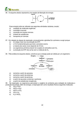 06. O esquema abaixo representa uma reação de liberação de energia:




     Essa energia pode ser utilizada nas seguintes atividades celulares, exceto:
     a)   oxidação de moléculas orgânicas.
     b)   contração muscular.
     c)   condução de impulso nervoso.
     d)   síntese de substâncias.
     e)   transporte por osmose.

07. Em relação às etapas da respiração, provavelmente a glicólise foi a primeira a surgir porque:
     a)   é a etapa mais rica na produção de ATP.
     b)   o O é fundamental para que todo o processo ocorra.
     c)   a maioria dos seres vivos depende de O livre.
     d)   os organismos primitivos devem ter surgido em atmosfera sem O2.
     e)   a produção de ATP não se faz sem a molécula de O2.

08. Pela análise do esquema abaixo, prevê-se que a energia pode ser obtida por um organismo:




     a)   somente a partir de açúcares.
     b)   somente a partir de proteínas.
     c)   somente a partir de gorduras.
     d)   a partir de açucares, proteínas c gorduras.
     e)   a partir de substâncias inorgânicas.
09. Na respiração, os organismos aproveitam o oxigênio do ambiente para oxidação de moléculas e
produção de energia. Além de energia, a respiração tem como resultado final as seguintes moléculas:
     a)   CO2 e H2O
     b)   HCO3 e H20
     c)   HCO3 e CO2
     d)   CO2 e H2
     e)   H2 e HCO3




                                                     22
 