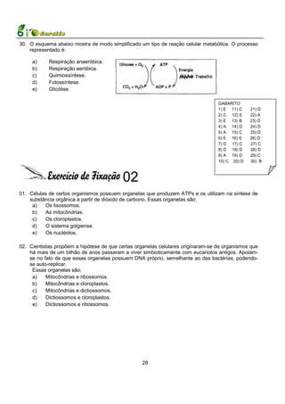 30. O esquema abaixo mostra de modo simplificado um tipo de reação celular metabólica. O processo
    representado é:

     a)     Respiração anaeróbica.
     b)     Respiração aeróbica.
     c)     Quimiossíntese.
     d)     Fotossíntese.
     e)     Glicólise.

                                                                                  GABARITO
                                                                                  1) E 11) C    21) D
                                                                                  2) C 12) E    22) A
                                                                                  3) E 13) B    23) D
                                                                                  4) A 14) D    24) D
                                                                                  5) A 15) C    25) D
                                                                                  6) E 16) E    26) D
                                                                                  7) D 17) C    27) C
                                                                                  8) D 18) D    28) D
                                                                                  9) A 19) D    29) C
                                                                                  10) C 20) D   30) B



                                          02
01. Células de certos organismos possuem organelas que produzem ATPs e os utilizam na síntese de
    substância orgânica a partir de dióxido de carbono. Essas organelas são:
     a)   Os lisossomos.
     b)   As mitocôndrias.
     c)   Os cloroplastos.
     d)   O sistema golgiense.
     e)   Os nucléolos.

02. Cientistas propõem a hipótese de que certas organelas celulares originaram-se de organismos que
    há mais de um bilhão de anos passaram a viver simbioticamente com eucariotos antigos. Apoiam-
    se no fato de que essas organelas possuem DNA próprio, semelhante ao das bactérias, podendo-
    se auto-replicar.
     Essas organelas são:
     a)    Mitocôndrias e ribossomos.
     b)    Mitocôndrias e cloroplastos.
     c)    Mitocôndrias e dictiossomos.
     d)    Dictiossomos e cloroplastos.
     e)    Dictiossomos e ribossomos.




                                                   28
 