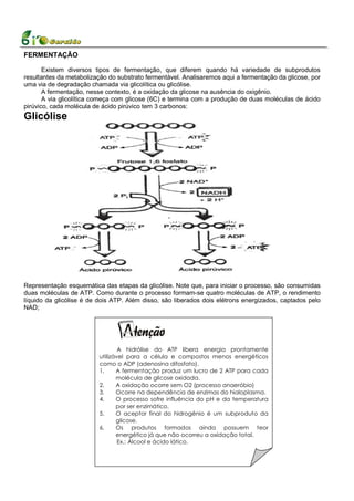 FERMENTAÇÃO

       Existem diversos tipos de fermentação, que diferem quando há variedade de subprodutos
resultantes da metabolização do substrato fermentável. Analisaremos aqui a fermentação da glicose, por
uma via de degradação chamada via glicolítica ou glicólise.
       A fermentação, nesse contexto, é a oxidação da glicose na ausência do oxigênio.
       A via glicolítica começa com glicose (6C) e termina com a produção de duas moléculas de ácido
pirúvico, cada molécula de ácido pirúvico tem 3 carbonos:
Glicólise




Representação esquemática das etapas da glicólise. Note que, para iniciar o processo, são consumidas
duas moléculas de ATP. Como durante o processo formam-se quatro moléculas de ATP, o rendimento
líquido da glicólise é de dois ATP. Além disso, são liberados dois elétrons energizados, captados pelo
NAD;




                                  A hidrólise do ATP libera energia prontamente
                          utilizável para a célula e compostos menos energéticos
                          como o ADP (adenosina difosfato).
                          1.     A fermentação produz um lucro de 2 ATP para cada
                                 molécula de glicose oxidada.
                          2.     A oxidação ocorre sem O2 (processo anaeróbio)
                          3.     Ocorre na dependência de enzimas do hialoplasma.
                          4.     O processo sofre influência do pH e da temperatura
                                 por ser enzimático.
                          5.     O aceptor final do hidrogênio é um subproduto da
                                 glicose.
                          6.     Os produtos formados ainda possuem teor
                                 energético já que não ocorreu a oxidação total.
                                  Ex.: Álcool e ácido lático.
                                                     3
 