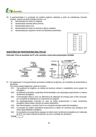 20. A quimiossíntese é a produção de matéria orgânica realizada a partir de substâncias minerais
    simples, usando somente energia química, e é:
     a)   Apresentada por todos os vegetais.
     b)   Apresentada somente pelos animais.
     c)   Apresentada pelos vírus.
     d)   Apresentada por todos os animais e alguns vegetais.
     e)   Apresentada por pequeno número de bactérias autotróficas.

                                                                                 Gabarito
                                                                                 01. C    11. B
                                                                                 02. B    12. A
                                                                                 03. C    13. E
                                                                                 04. A    14. E
                                                                                 05. E    15. E
                                                                                 06. E    16. C
                                                                                 07. A    17. B
                                                                                 08. A    18. B
QUESTÕES DE PROPOSIÇÕES MÚLTIPLAS
Instrução: Para as questões de 01 a 04, assinale a soma das proposições verdade.




01. Os diagramas I e II esquematizam processos oxidativos da glicose, em condições de anaerobiose e
    aerobiose.
    Com base nesses diagramas, pode-se concluir:
     (01)    Na ausência de oxigênio, as células de levedura utilizam o acetaldeído como aceptor de
            hidrogênio.
     (02) Os NADred produzidos na glicólise da fermentação e da respiração proporcionam o mesmo
            rendimento energético.
     (04) A fermentação lática é uma via alternativa de obtenção de energia para a fibra muscular,
            em condições de deficiência no suprimento de oxigênio.
     (08) As desidrogenações ocorridas no ciclo de Krebs proporcionam o maior rendimento
            energético dessa etapa, através da cadeia respiratória.
     (16) Nas fermentações, o produto final é um composto de baixo potencial energético.
     (32) A evolução da cadeia respiratória proporcionou à célula um processo que assegura uma
            maior disponibilidade energética.
     (64) As condições de anaerobiose assegura à célula maior rendimento energético em moléculas
            de ATP, por cada molécula de glicose, do que a condição de aerobiose.
     SOMA :


                                                   35
 