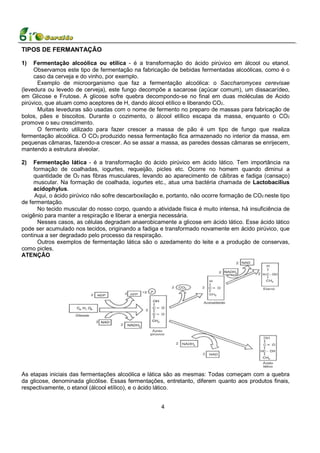 TIPOS DE FERMANTAÇÃO

1)   Fermentação alcoólica ou etílica - é a transformação do ácido pirúvico em álcool ou etanol.
     Observamos este tipo de fermentação na fabricação de bebidas fermentadas alcoólicas, como é o
     caso da cerveja e do vinho, por exemplo.
       Exemplo de microorganismo que faz a fermentação alcoólica: o Saccharomyces cerevisae
(levedura ou levedo de cerveja), este fungo decompõe a sacarose (açúcar comum), um dissacarídeo,
em Glicose e Frutose. A glicose sofre quebra decompondo-se no final em duas moléculas de Acido
pirúvico, que atuam como aceptores de H, dando álcool etílico e liberando CO2.
       Muitas leveduras são usadas com o nome de fermento no preparo de massas para fabricação de
bolos, pães e biscoitos. Durante o cozimento, o álcool etílico escapa da massa, enquanto o CO2
promove o seu crescimento.
       O fermento utilizado para fazer crescer a massa de pão é um tipo de fungo que realiza
fermentação alcoólica. O CO2 produzido nessa fermentação fica armazenado no interior da massa, em
pequenas câmaras, fazendo-a crescer. Ao se assar a massa, as paredes dessas câmaras se enrijecem,
mantendo a estrutura alveolar.

2)   Fermentação lática - é a transformação do ácido pirúvico em ácido lático. Tem importância na
     formação de coalhadas, iogurtes, requeijão, picles etc. Ocorre no homem quando diminui a
     quantidade de O2 nas fibras musculares, levando ao aparecimento de cãibras e fadiga (cansaço)
     muscular. Na formação de coalhada, iogurtes etc., atua uma bactéria chamada de Lactobacilius
     acidophylus.
      Aqui, o ácido pirúvico não sofre descarboxilação e, portanto, não ocorre formação de CO2 neste tipo
de fermentação.
       No tecido muscular do nosso corpo, quando a atividade física é muito intensa, há insuficiência de
oxigênio para manter a respiração e liberar a energia necessária.
       Nesses casos, as células degradam anaerobicamente a glicose em ácido lático. Esse ácido lático
pode ser acumulado nos tecidos, originando a fadiga e transformado novamente em ácido pirúvico, que
continua a ser degradado pelo processo da respiração.
       Outros exemplos de fermentação lática são o azedamento do leite e a produção de conservas,
como picles.
ATENÇÃO




As etapas iniciais das fermentações alcoólica e lática são as mesmas: Todas começam com a quebra
da glicose, denominada glicólise. Essas fermentações, entretanto, diferem quanto aos produtos finais,
respectivamente, o etanol (álcool etílico), e o ácido lático.


                                                      4
 