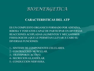BIOENERGETICA

          CARACTERISTICAS DEL ATP

ES UN COMPUESTO ORGANICO FORMADO POR ADENINA,
RIBOSA Y FOSFATOS CAPAZ DE PARTICIPAR EN DIVERSAS
REACCIONES ACOPLADAS (ALIMENTOS Y MECANISMOS
FISIOLOGICOS ) QUE LE PERMITAN LLEVAR A CABO SU
DIVERSAS FUNCIONES:

1.- SINTESIS DE COMPONENTES CELULARES.
2.- CONTRACCION MUSCULAR.
3.- TRANSPORTE ACTIVO.
4.- SECRECION GLANDULAR.
5.- CONDUCCION NERVIOSA.
 
