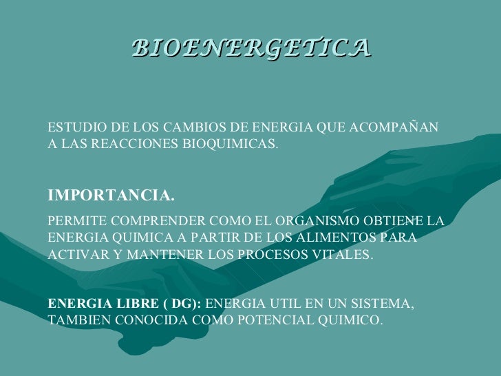 Bioenergetica
