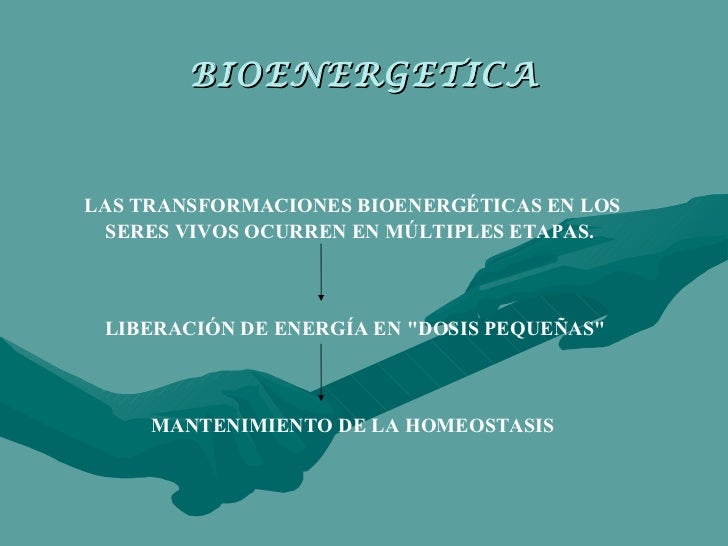 Bioenergetica