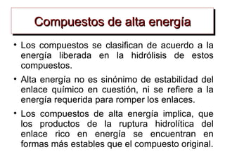Compuestos de alta energía

    Los compuestos se clasifican de acuerdo a la
    energía liberada en la hidrólisis de estos
    compuestos.

    Alta energía no es sinónimo de estabilidad del
    enlace químico en cuestión, ni se refiere a la
    energía requerida para romper los enlaces.

    Los compuestos de alta energía implica, que
    los productos de la ruptura hidrolítica del
    enlace rico en energía se encuentran en
    formas más estables que el compuesto original.
 