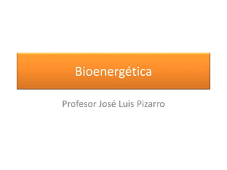 Bioenergética
Profesor José Luis Pizarro
 