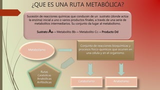 ¿QUE ES UNA RUTA METABÓLICA?
Sucesión de reacciones químicas que conducen de un sustrato (donde actúa
la enzima) inicial a uno o varios productos finales, a través de una serie de
metabolitos intermediarios. Su conjunto da lugar al metabolismo.
Sustrato Aa→ Metabolito Bb→ Metabolito Cc→ Producto Dd
Metabolismo
Conjunto de reacciones bioquímicas y
procesos físico-químicos que ocurren en
una célula y en el organismo.
Catabolismo Anabolismo
Rutas
Catabólicas
Anabólicas
Anfibólicas
 