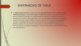 ENFERMEDAD DE TARUI
 La enfermedad de Tarui, también llamada glucogenosis tipo VII, o deficiencia de
fosfofructocinasa, es una enfermedad metabólica debida a una deficiencia en la
enzima fosfofructocinasa, la cual convierte la Fructosa 6-fosfato a Fructosa 1,6-
bifosfato en el paso 3 de la glucólisis. Es una enfermedad hereditaria, autosómica
recesiva en la que ciertas células, como los eritrocitos y el músculo esquelético,
pierden la habilidad de usar glucosa como fuente de energía. Seiichiro Tarui,
médico jápones fue el primero en describir la enfermedad en la década de los
sesenta cuando conducia investigación clínica en desordenes del metabolismo de
los carbohidratos.
 