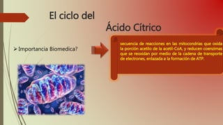 El ciclo del
Ácido Cítrico
Importancia Biomedica?
secuencia de reacciones en las mitocondrias que oxida
la porción acetilo de la acetil-CoA, y reducen coenzimas
que se reoxidan por medio de la cadena de transporte
de electrones, enlazada a la formación de ATP.
 