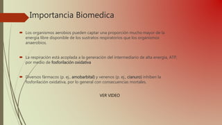 Importancia Biomedica
 Los organismos aerobios pueden captar una proporción mucho mayor de la
energía libre disponible de los sustratos respiratorios que los organismos
anaerobios.
 La respiración está acoplada a la generación del intermediario de alta energía, ATP,
por medio de fosforilación oxidativa
 Diversos fármacos (p. ej., amobarbital) y venenos (p. ej., cianuro) inhiben la
fosforilación oxidativa, por lo general con consecuencias mortales.
VER VIDEO
 