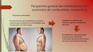 Perspectiva general del metabolismo y el
suministro de combustibles metabólicos
Importancia Biomédica.
El conocimiento del metabolismo normal es
esencial para entender las anormalidades que
fundamentan la enfermedad.
adaptación a periodos de
inanición, ejercicio, embarazo y
lactancia.
El metabolismo anormal puede
producirse por deficiencia
nutricional, deficiencia de enzimas,
secreción anormal de hormonas
 