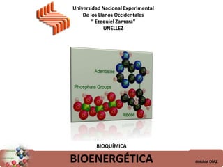 Universidad Nacional Experimental
De los Llanos Occidentales
“ Ezequiel Zamora”
UNELLEZ
BIOENERGÉTICA
BIOQUÍMICA
MIRIAM DÍAZ
 