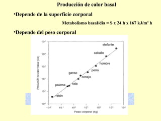 Bascal Conejo BIOENERGETICA ANIMAL TEMA COMPLETO PPT 2024 | PPT