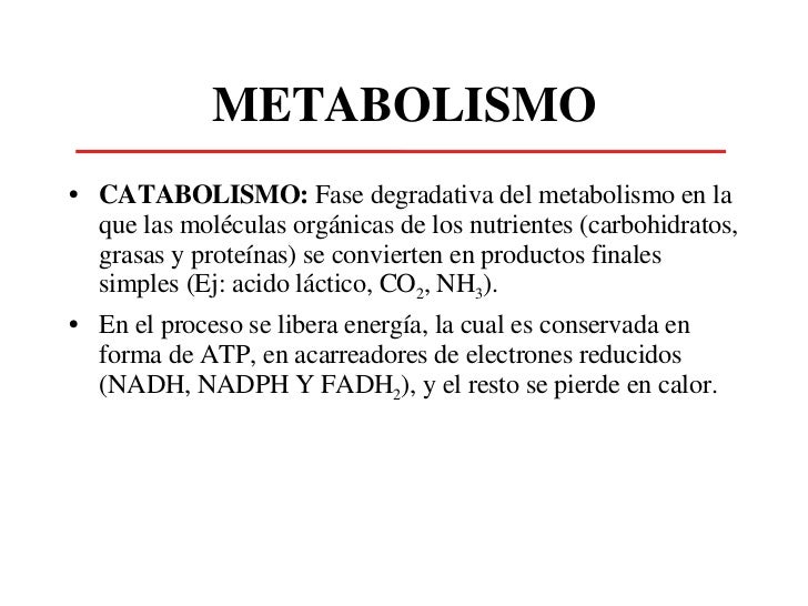 Aprender cómo preguntas selectividad metabolismo resueltas