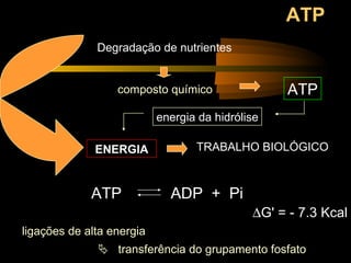 ATP Degradação de nutrientes ENERGIA ATP   ADP  +  Pi   G' = - 7.3 Kcal    transferência do grupamento fosfato ligações de alta energia composto químico TRABALHO BIOLÓGICO energia da hidrólise ATP 