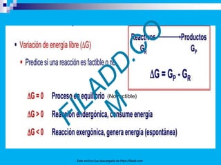 (No factible)
Este archivo fue descargado de https://filadd.com
 