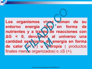 Los organismos vivos toman de su
entorno energía libre en forma de
Este archivo fue descargado de https://filadd.com
nutrientes y a través de reacciones con
ΔG < 0, devuelven al universo una
cantidad semejante de energía en forma
de calor H (-) u entropía ( productos
finales menos organizados) o ∆S (+).
 