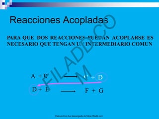 PARA QUE DOS REACCIONES PUEDAN ACOPLARSE ES
NECESARIO QUE TENGAN UN INTERMEDIARIO COMUN
A + B C + D
D + E F + G
Reacciones Acopladas
Este archivo fue descargado de https://filadd.com
 