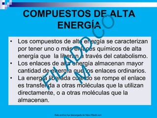• Los compuestos de alta energía se caracterizan
por tener uno o más enlaces químicos de alta
energía que la liberan a través del catabolismo.
• Los enlaces de alta energía almacenan mayor
cantidad de energía que los enlaces ordinarios.
• La energía liberada cuando se rompe el enlace
es transferida a otras moléculas que la utilizan
directamente, o a otras moléculas que la
almacenan.
Este archivo fue descargado de https://filadd.com
COMPUESTOS DE ALTA
ENERGÍA
 