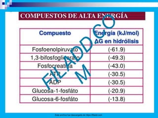 Este archivo fue descargado de https://filadd.com
 