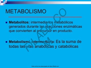 METABOLISMO
 Metabolitos: intermediarios metabólicos
generados durante las reacciones enzimáticas
que convierten al precursor en producto.
 Metabolismo intermediario: Es la suma de
todas las vías anabólicas y catabólicas
Este archivo fue descargado de https://filadd.com
 