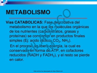 METABOLISMO
Vías CATABOLICAS: Fase degradativa del
metabolismo en la que las moléculas orgánicas
de los nutrientes (carbohidratos, grasas y
proteínas) se convierten en productos finales
simples (Ej: acido láctico, CO2, NH3).
En el proceso se libera energía, la cual es
conservada en forma de ATP, en cofactores
reducidos (NADH y FADH2), y el resto se pierde
en calor.
Este archivo fue descargado de https://filadd.com
 