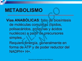 METABOLISMO
Vías ANABÓLICAS: fase de biosíntesis
de moléculas complejas (lípidos,
polisacáridos, proteínas y ácidos
nucléicos) a partir de precursores
simples.
Requiere energía, generalmente en
forma de ATP y de poder reductor del
NADPH+ H+.
Este archivo fue descargado de https://filadd.com
 