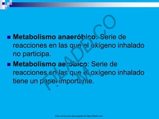  Metabolismo anaeróbico: Serie de
reacciones en las que el oxígeno inhalado
no participa.
 Metabolismo aeróbico: Serie de
reacciones en las que el oxígeno inhalado
tiene un papel importante.
Este archivo fue descargado de https://filadd.com
 