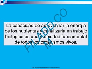 La capacidad de aprovechar la energía
de los nutrientes y canalizarla en trabajo
biológico es una propiedad fundamental
de todos los organismos vivos.
Este archivo fue descargado de https://filadd.com
 