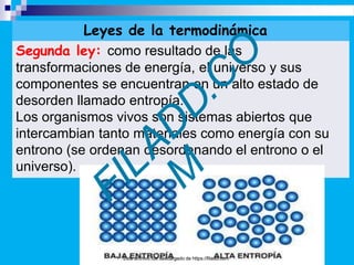 Leyes de la termodinámica
Segunda ley: como resultado de las
transformaciones de energía, el universo y sus
componentes se encuentran en un alto estado de
desorden llamado entropía.
Los organismos vivos son sistemas abiertos que
intercambian tanto materiales como energía con su
entrono (se ordenan desordenando el entrono o el
universo).
Este archivo fue descargado de https://filadd.com
 